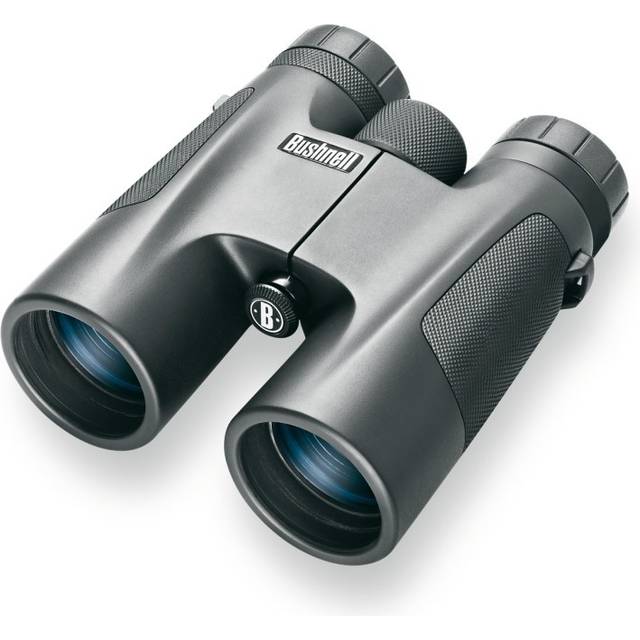 Bushnell Powerview 10x42