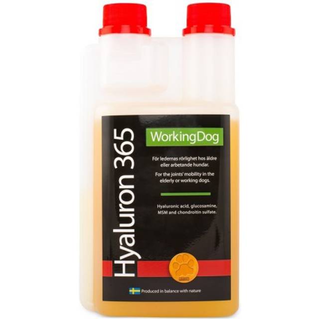 Trikem Working Dog Hyaluron 365, 500 ml