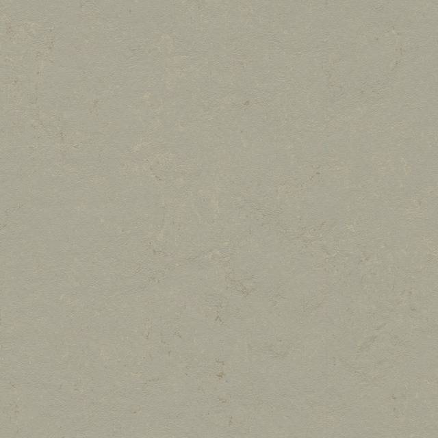 Forbo Marmoleum Click Orbit 60 x 30 cm