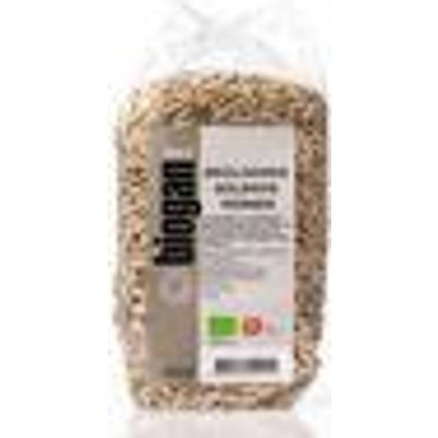 Biogan Solrosfrön, eko - 500 g