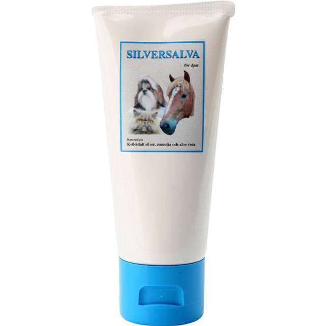 Ion Silver Silversalva, 200ml