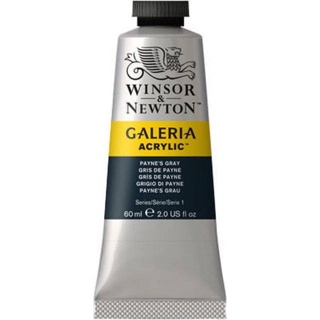 Winsor & Newton Galeria Acrylic Paint 60ml Paynes Grey