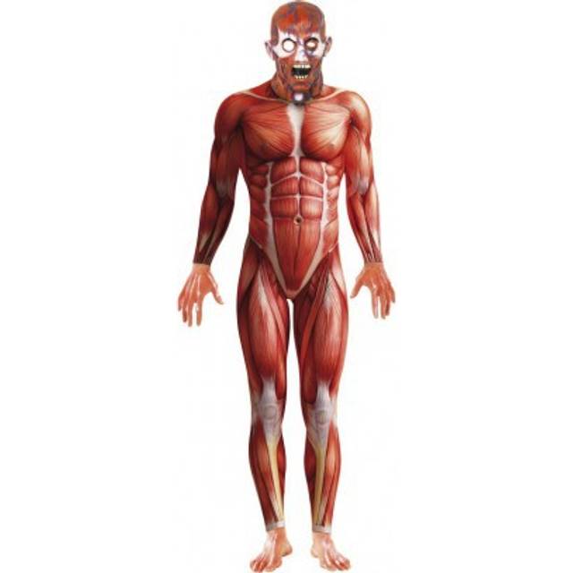 Halloween anatomy man with mask costume