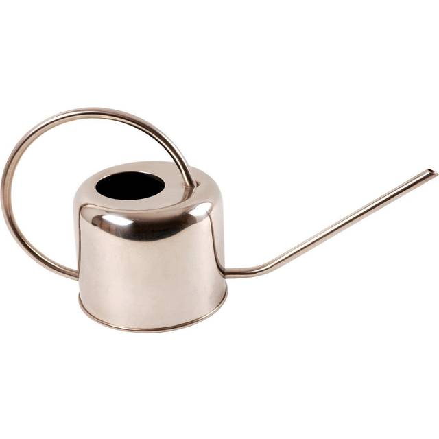Fallen Fruits Stainless Steel Watering Can