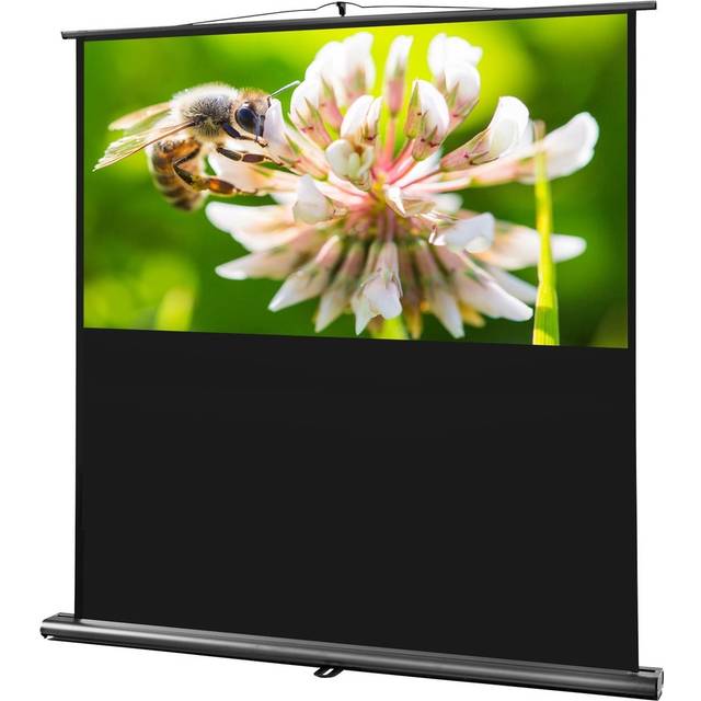 celexon ultramobil Professional projektorduk 160 x 100 cm