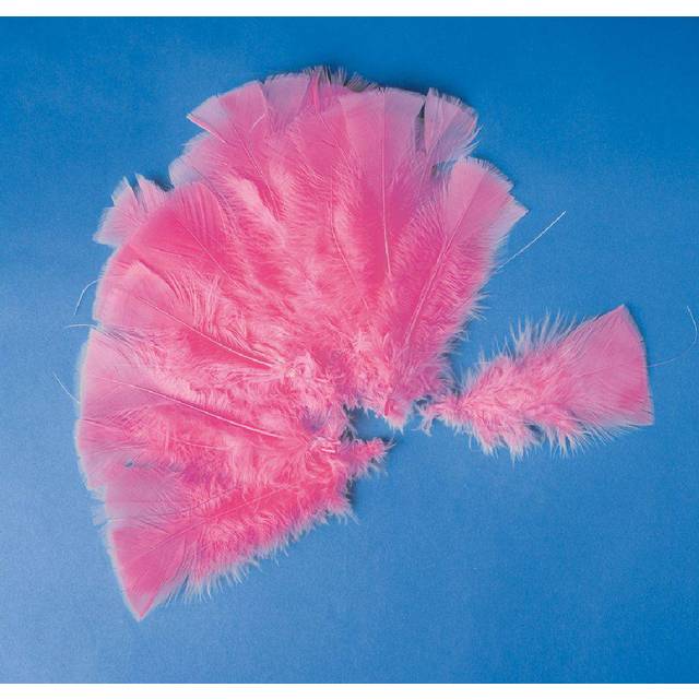 PBX2470590 - * Playbox - Easter Feathers w/ wire (Pink) - 48 pcs