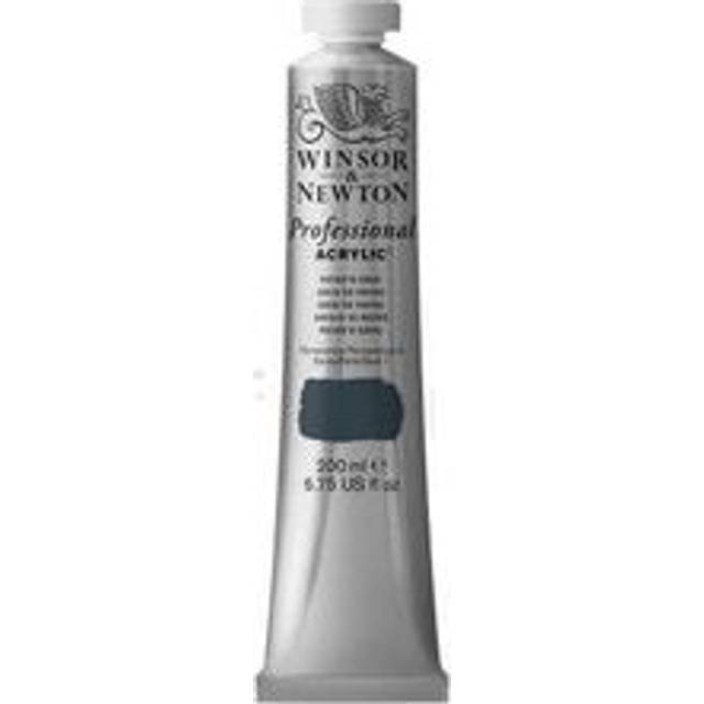 Winsor & Newton Professional Acrylic 200ml - Payne's Gray - Payne's Gray - Series 1
