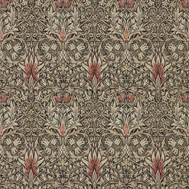 Snakeshead Charcoal/Spice - 216425