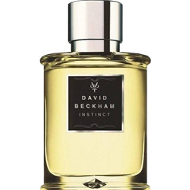 David Beckham Instinct Eau de Toilette 50ml Sprej (50ml)