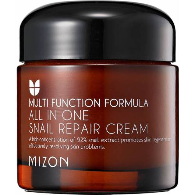 MIZON - All in One Snail Repair Cream - 75ml