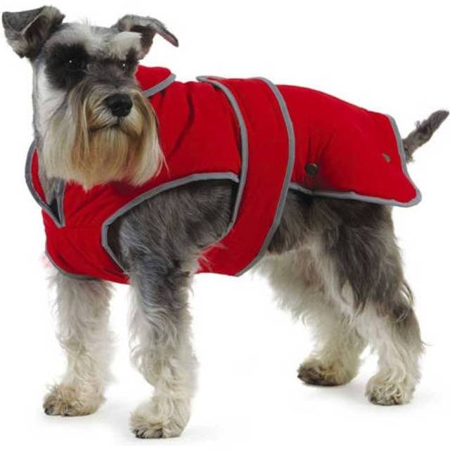 Ancol Dog Puppy Coats Stormguard Poppy Red 7 Sizes - X-Large