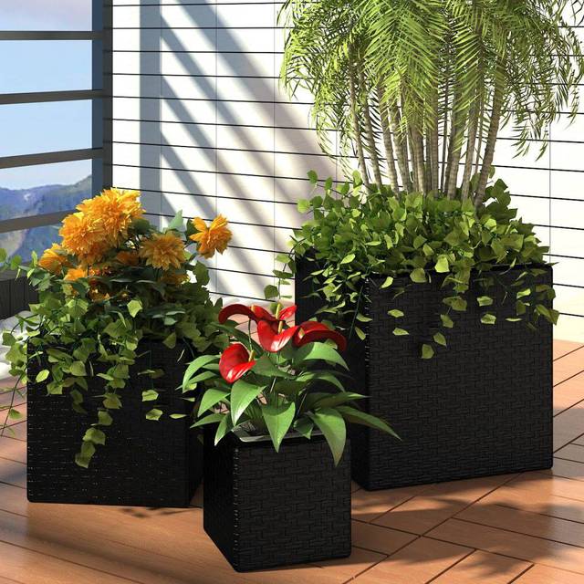vidaXL Garden Raised Beds 3 pcs Water Hyacinth Black, Black