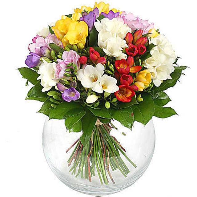 Rose and Freesia