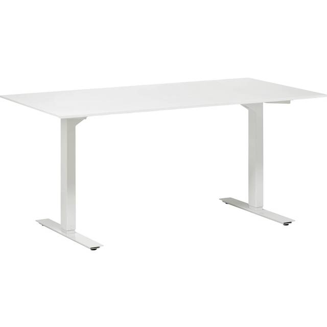 Höj och sänkbart skrivbord - 2 motorer inkl. bordsskiva - Kampanj
