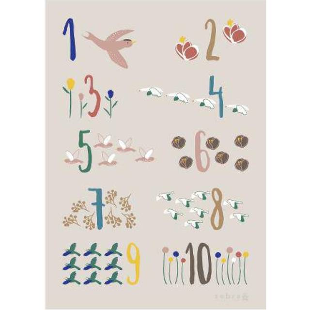 Sebra Affisch - Singing Birds - Sebra - One Size - Affisch