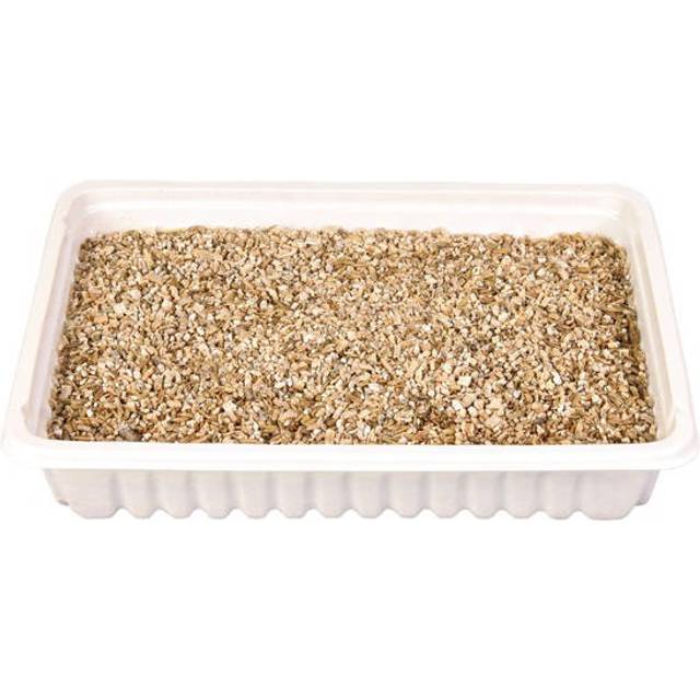 TRIXIE Kattgräs, Grön, 100 g