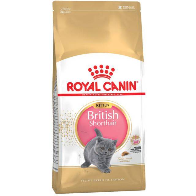 Royal Canin British Shorthair Kitten - 10 kg