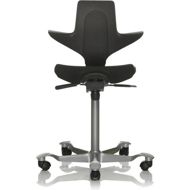 Ergonomisk Kontorsstol HÅG Capisco Puls 8020