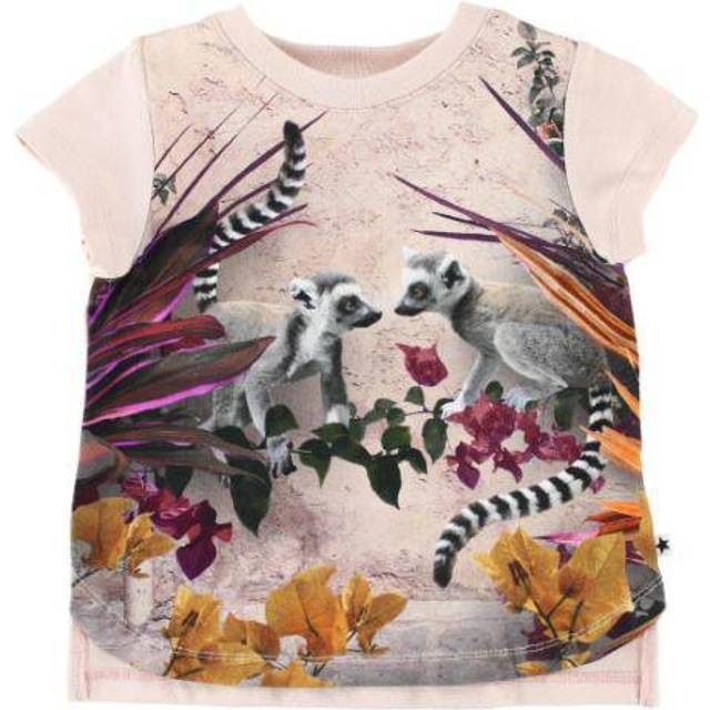 Molo T-shirt - Erin - Lemur - Molo - 68 - T-shirt
