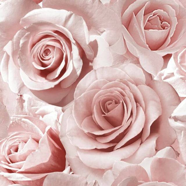 Muriva madison floral glitter wallpaper roses sparkle textured raspberry 139521