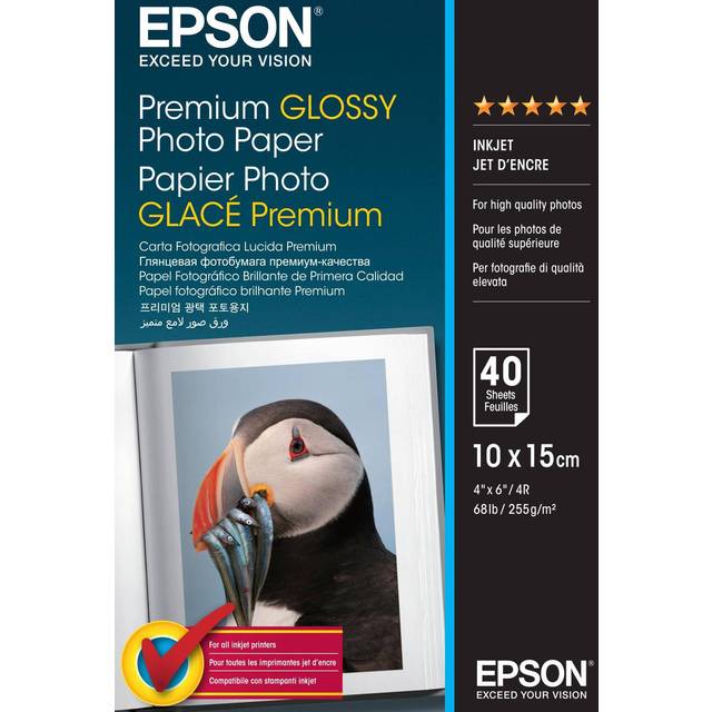 Epson Premium (10cm x 15cm) 255g/m2 Glossy Photo Paper (White) 1 Pack