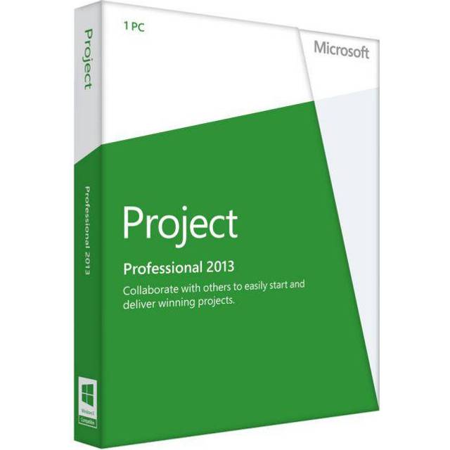 Microsoft Project 2013 Professional