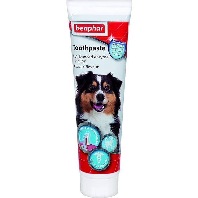 beaphar tandkräm - 100 g