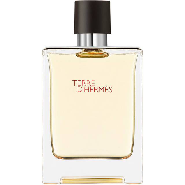 Hermès Terre D'Hermès Eau de Toilette 100 ml
