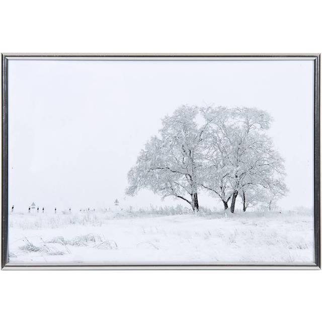 Focus Can-Can svart 15 x 20 cm