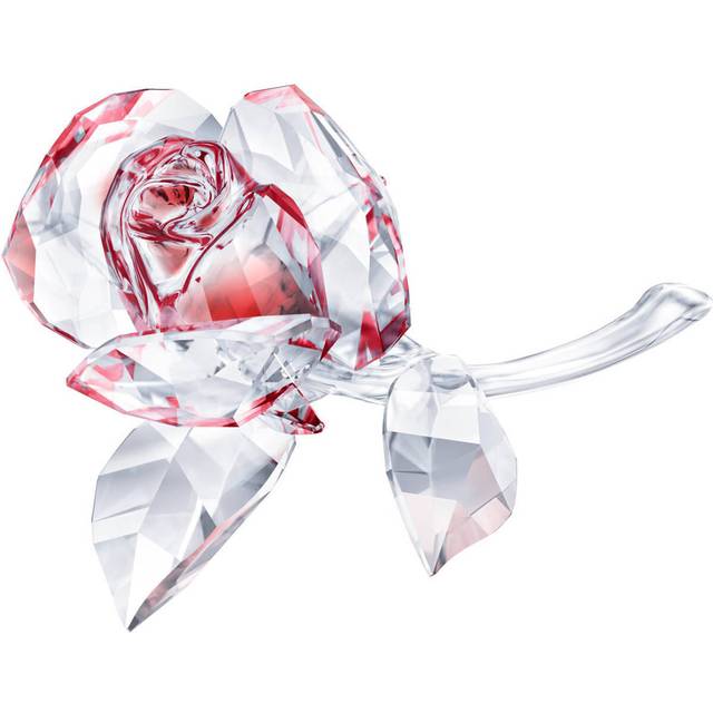 Blossoming Rose, Red