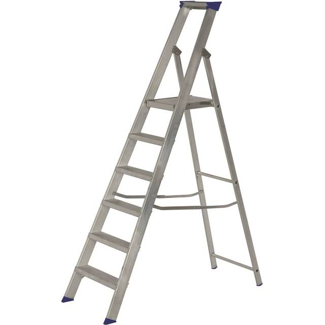 Werner Mastertrade Platform 6 Tread Stepladder
