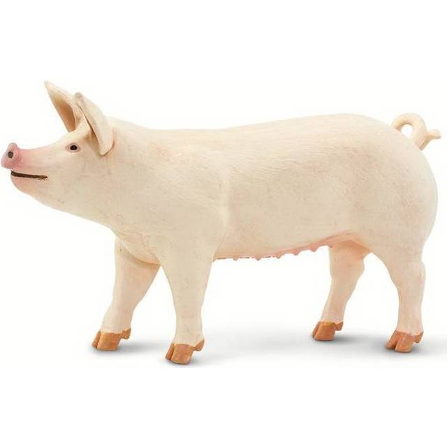 Safari S100269 Cerdo Blanco Grande Animals  Multicoloured