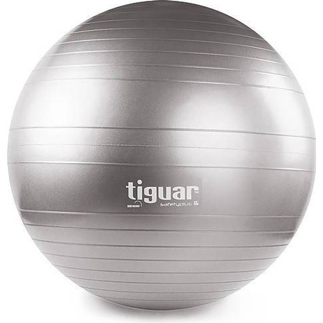 Tiguar Gymboll Grå 65 Cm