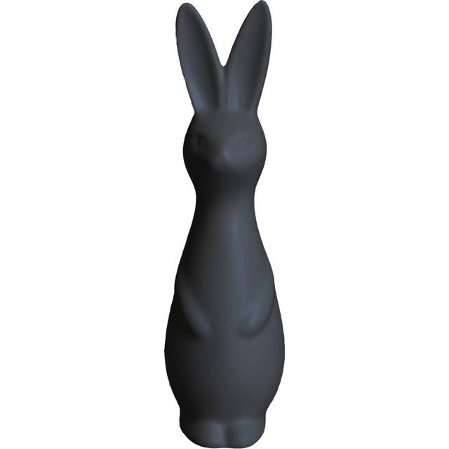 DBKD Swedish rabbit large White - Vit