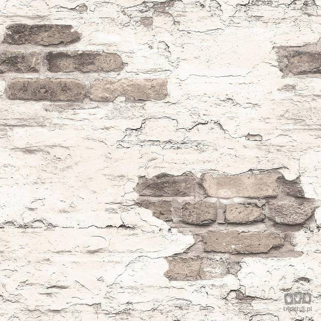 Galerie - Tapetterminalen Grunge