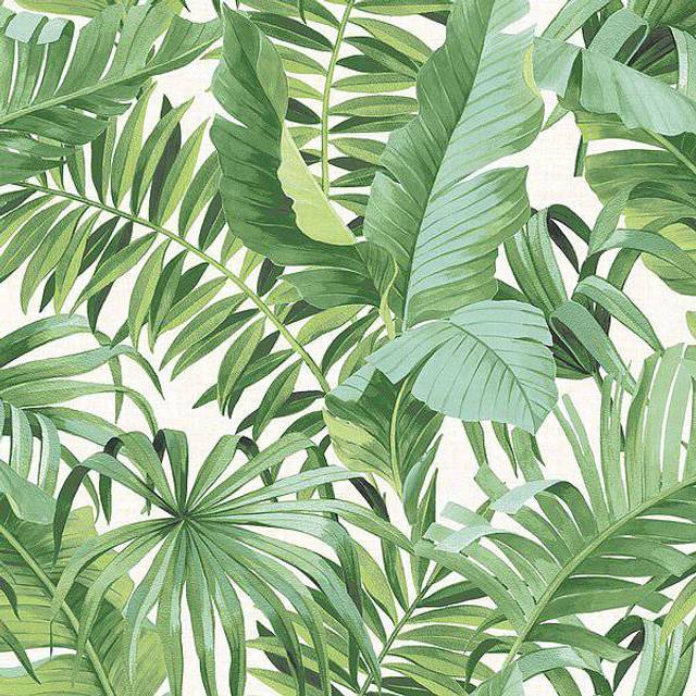 Tropical Leaf Wallpaper Palm Tree White Green A Street Prints Paste Th