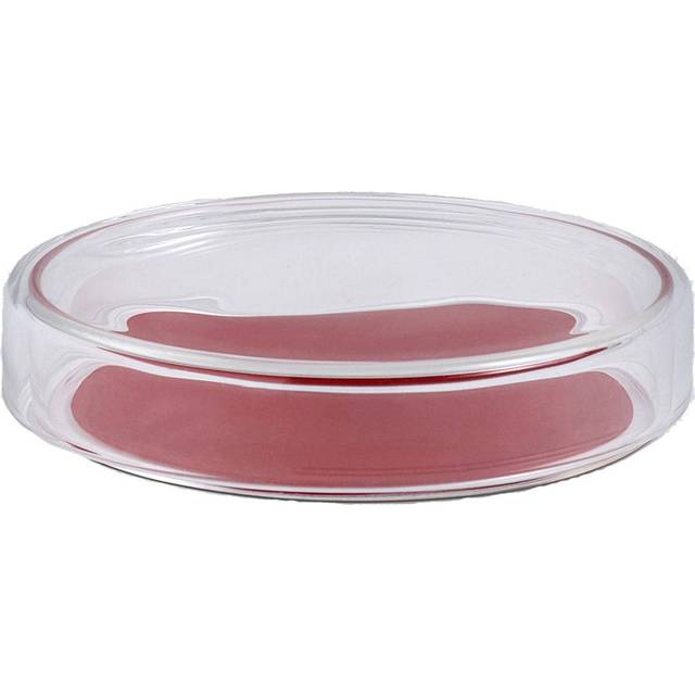 HAY - container with glass lid green | Green/Green