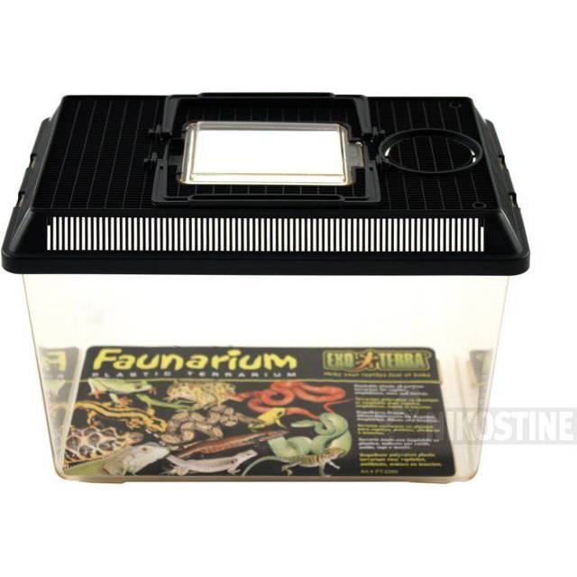 Plast Terrarie - NR 3 MEDIUM 30x19.5x20.5CM