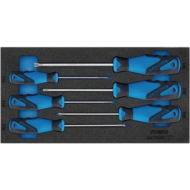 Gedore Check-Tool insert with assortment