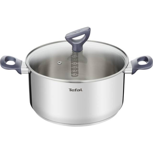 TEFAL DAILY COOK kastrull G71246 | 24 cm | glaslock med termoplastisk | diskmaskinssäker | lämplig för alla typer av spisar inklusive induktion