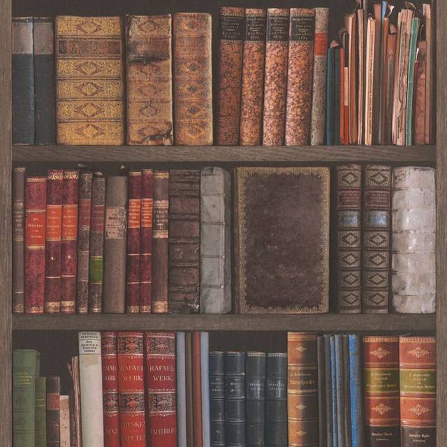 Rasch Book Shelf Pattern Wallpaper Realistic Bookcase Vintage Library 934809