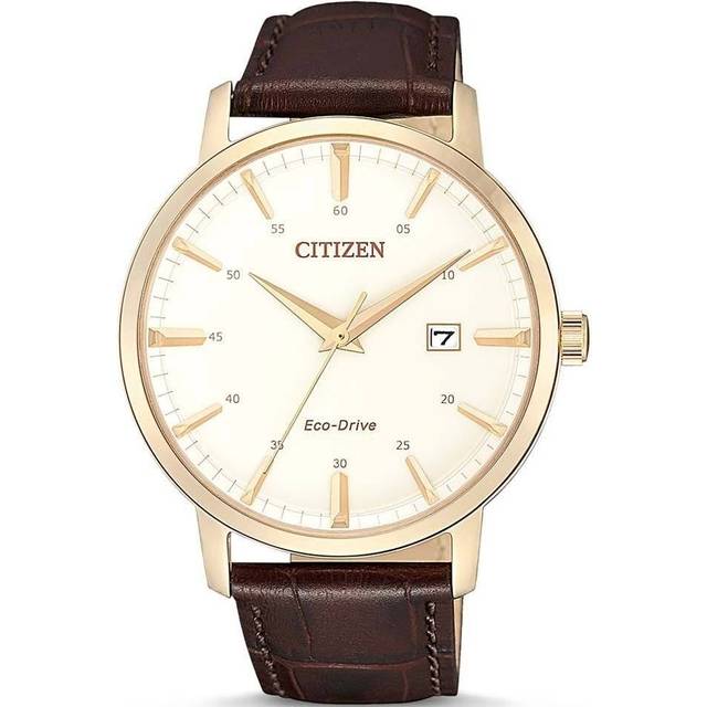 Citizen Men&apos;s Brown Leather Eco-Drive Watch