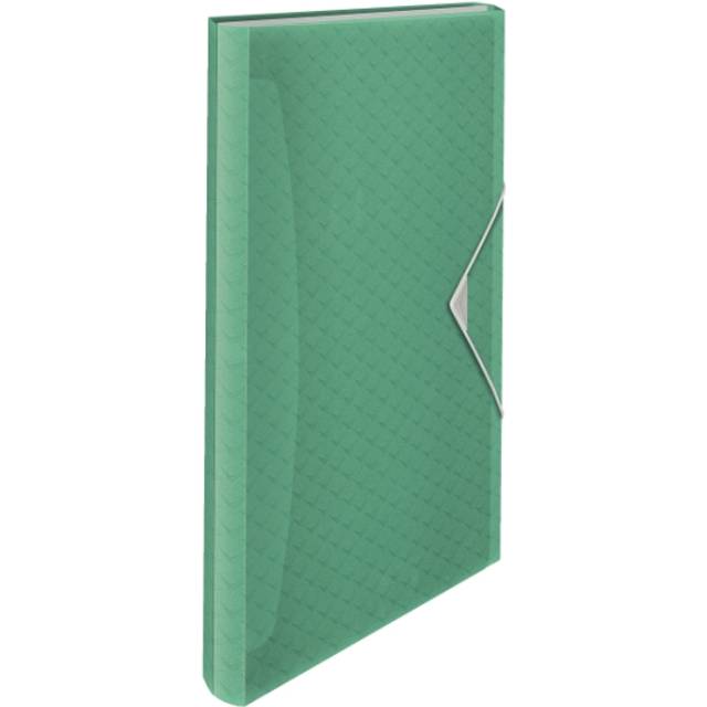 A4 Expanding Concertina File, Clear Folder Organiser With 5 Tabs/6 Compartments, Home/Office, Embossed Pattern, Colour'Breeze Range, Green, 626253