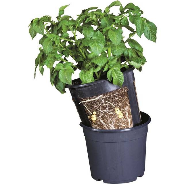 Gardenlife Potato Pot