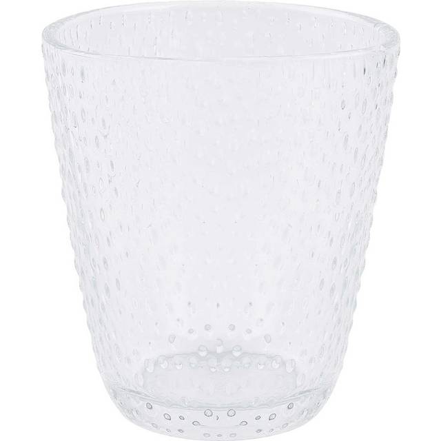 Raw water glass 30 cl, clear