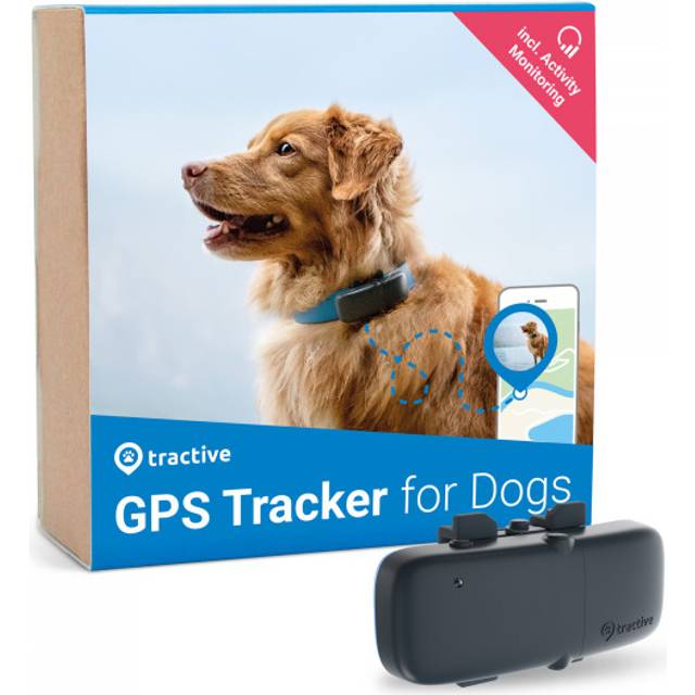 Tractive GPS Tracker till Hund