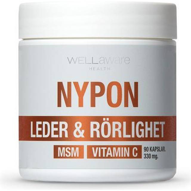 WellAware Nypon 90 kapslar