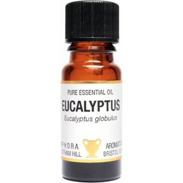 Amphora Aromatics Eucalyptus Essential Oil 10ml