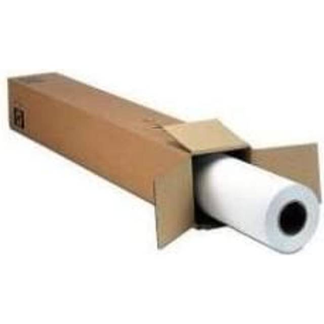 Epson TRADITIONAL PHOTO PAPER-17IN 15M 295