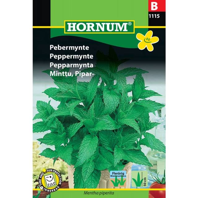 Hornum Pepparmynta, Mint